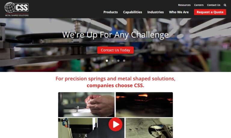 CSS (Connecticut Spring & Stamping)